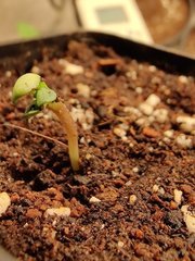 IMG_20191029_185849.jpg