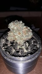 Og kuch Bout'z ?