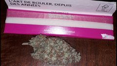 Og kush séchage +15 jours