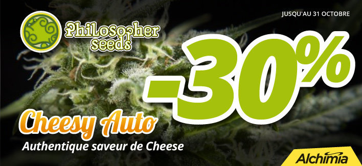 web-cheesy-fr.jpg