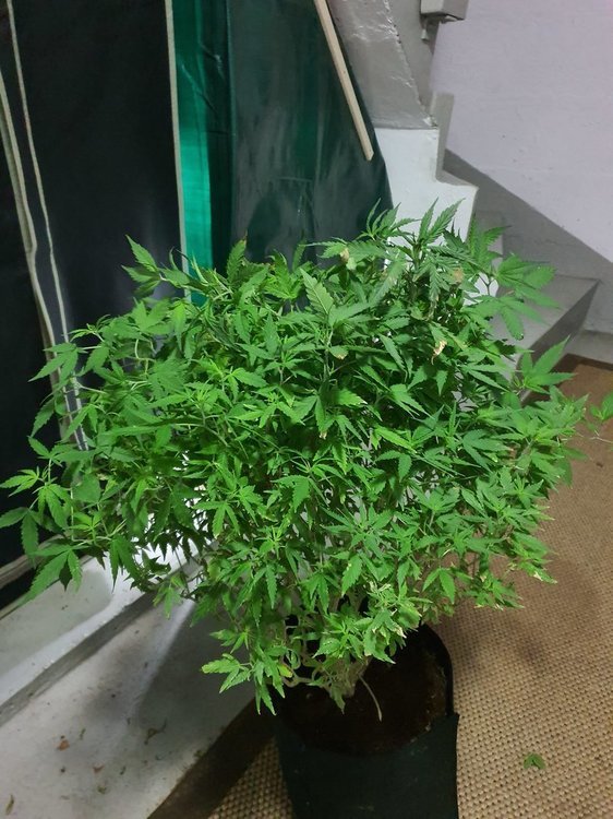 20191109_094640[1].jpg
