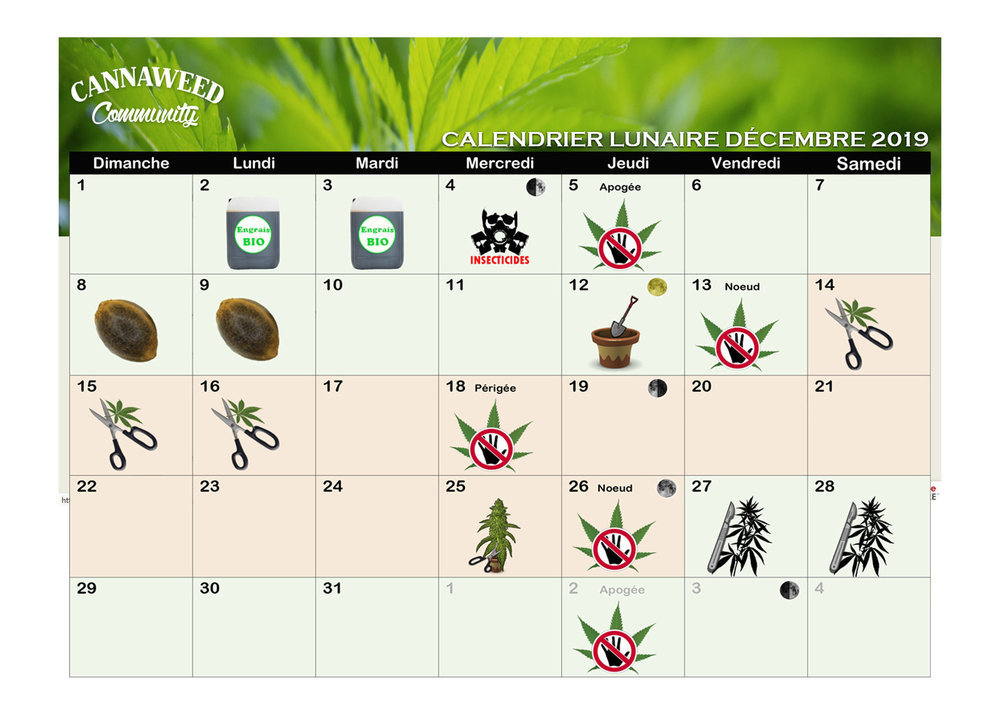 1739245733_calendrier_lunaie_dcembre_2019_A4.thumb.jpg.13b7e38f8c40ca7b42a7c8d94b2c02fe.jpg