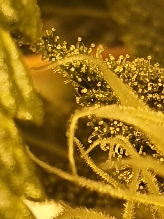 20191105_211205.jpg