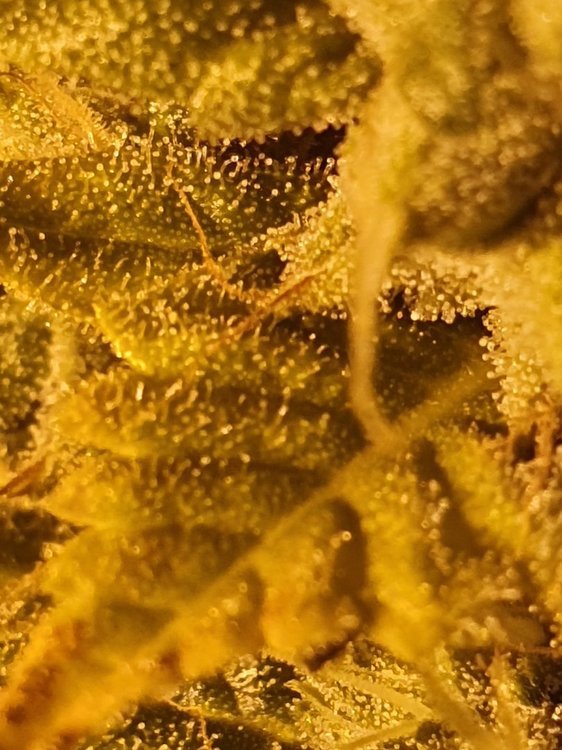 20191105_211533.jpg