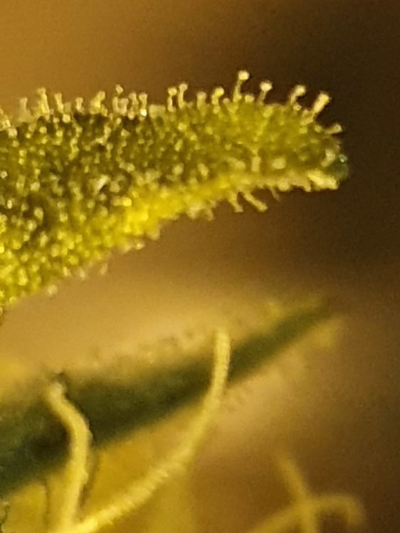 20191105_211704.jpg