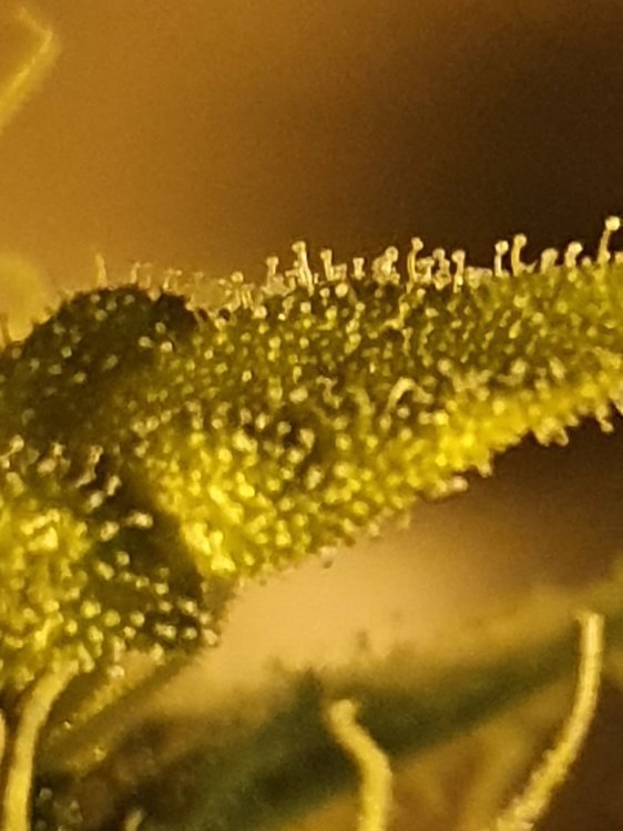 20191105_211706.jpg