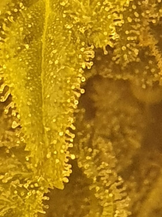 20191105_225028.jpg
