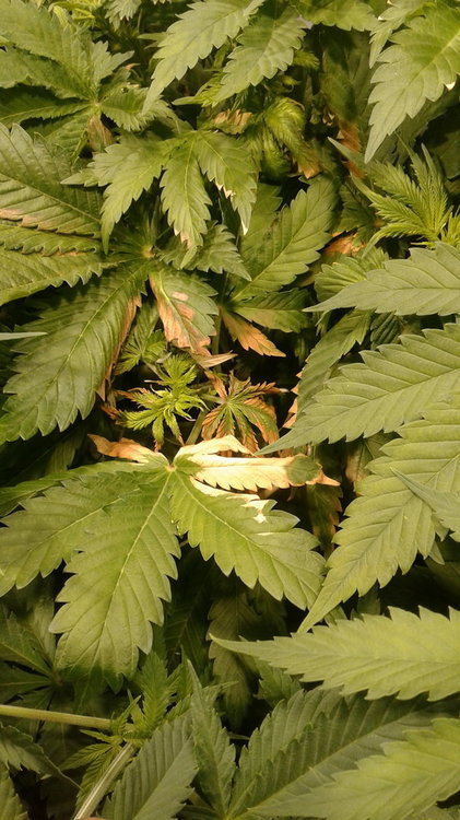 20191106_205929.jpg