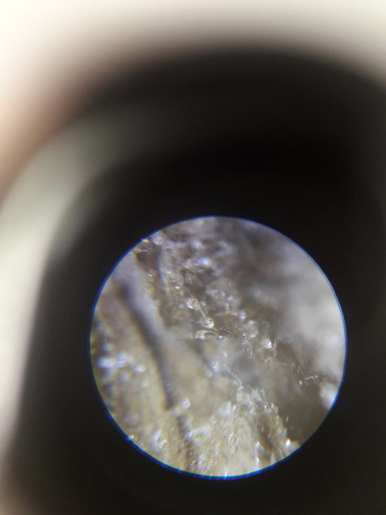 20191110_144301.thumb.jpg.597f02a7fb4678785be21c84b3c9d5d7.jpg