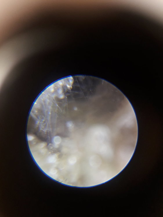 20191110_144502.thumb.jpg.2ebf1292813b393f749058ff61fdd998.jpg