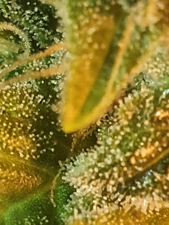 20191111_195025.jpg