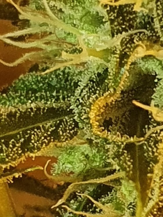 20191111_195302.jpg