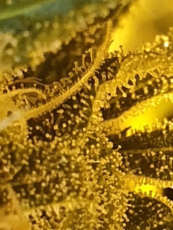 20191111_195316.jpg