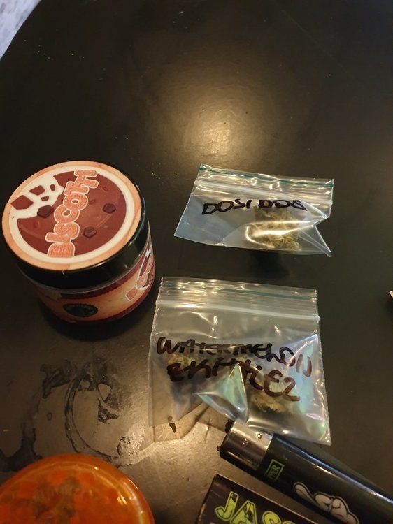 20191127_121718-min.jpg
