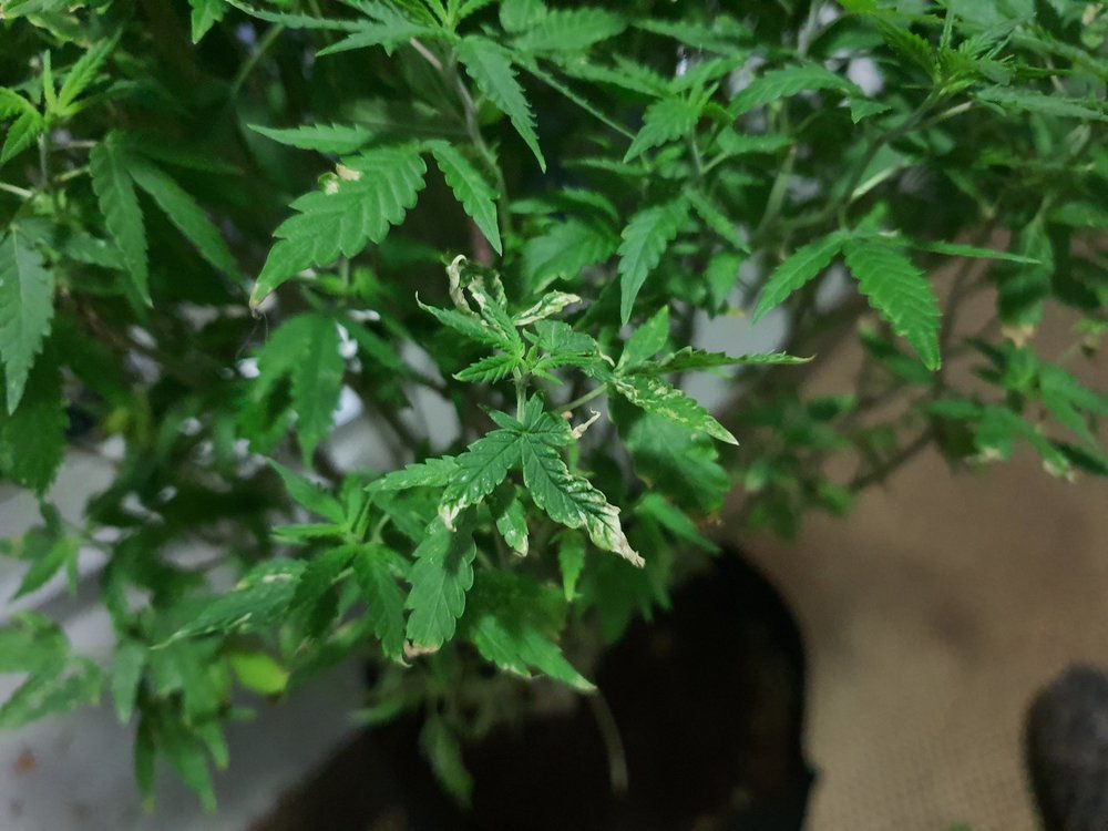 20191109_094650[1].jpg