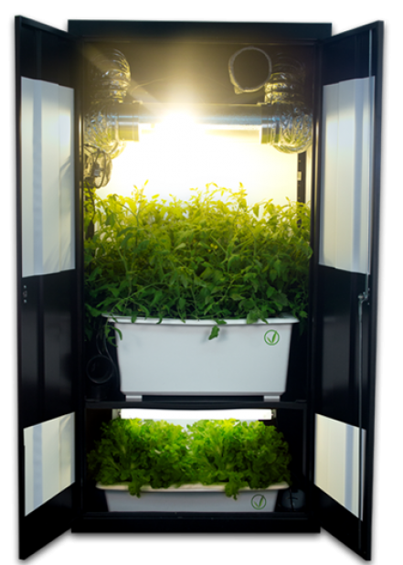 kisspng-grow-box-growroom-closet-hydroponics-grow-light-5b9a6fba704c26.60644173153684780246.png.f31b858d94c8d711bbaa2046db19facf.png