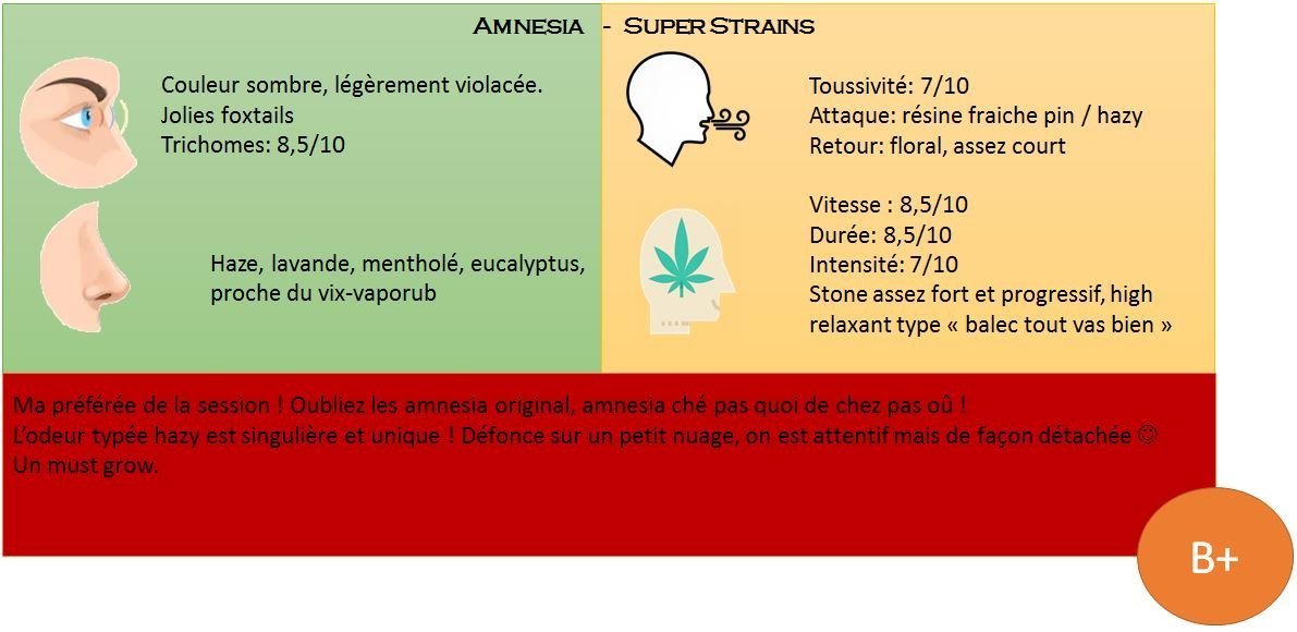 large.Amnesia.JPG.3c80c84af41b35457ff41ebe506d6f5b.JPG