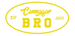logo1.png