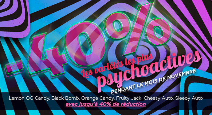 oferta-novembre-111.jpg