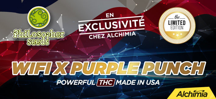 philo-wifi-x-purplepunch-1122.jpg