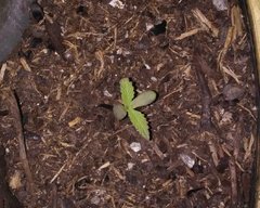 20180308_223950.jpg