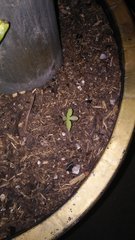 20180308_223959.jpg