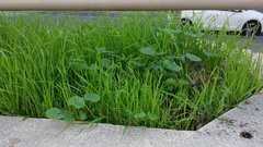 20191028_123832.jpg