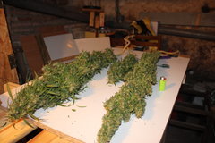 Amnesia Mac Ganga +109 flo +124 (12/12)