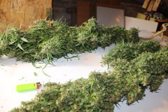 Amnesia Mac Ganga +124 de 12/12