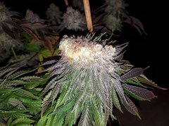 20191119_100052.jpg