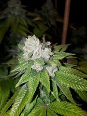 20191120_093041.jpg