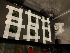 20191122_133110.jpg