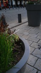 20191125_165851.jpg