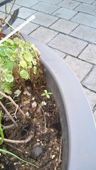 20191125_165857.jpg