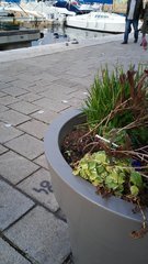 20191125_165908.jpg