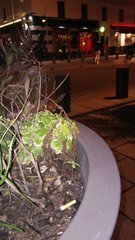20191126_195122.jpg