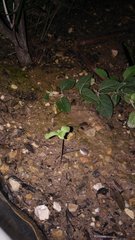20191126_195144.jpg