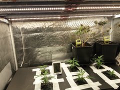 20191130_084817.jpg