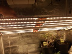 20191130_090712.jpg