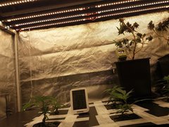 20191130_090731.jpg