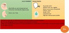 Jack Herer.JPG