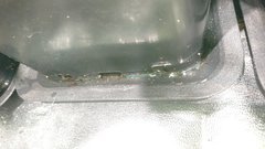 DSC_3583.JPG