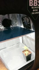 Nano-box bouture