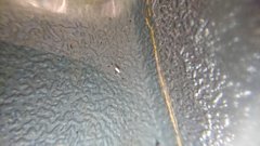 DSC_3600.JPG