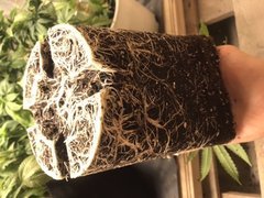 F009C0A1-5A0C-4666-A102-216E8231B5BA.jpeg