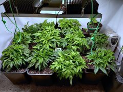 IMG_20191118_201217__01.jpg