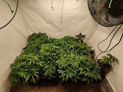 IMG_20191123_173651.jpg