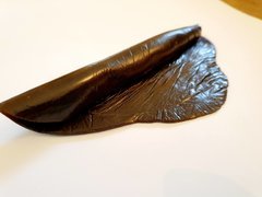 25 microns extérieur 2019