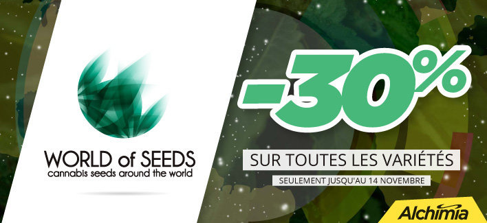 https://www.alchimiaweb.com/fr/world-of-seeds-1_2_331/