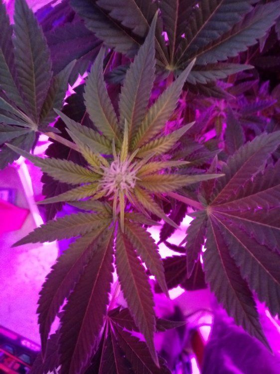 20191202_163012[1].jpg